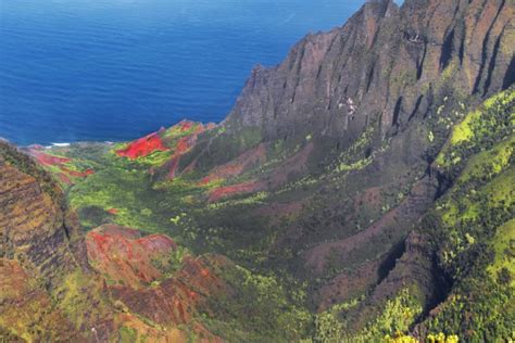 Magix Island: Hawaii's Secret Retreat for Artists and Creatives